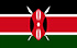 TGM Panel Zarađujte novac u Keniji