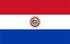 TGM Panel istraživanja tržišta u Paragvaju
